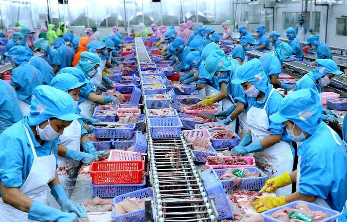 Những tháng cuối năm, ngành nông nghiệp cần tập trung phát triển sản xuất, nâng cao giá trị gia tăng, mở rộng thị trường và thúc đẩy xuất khẩu.