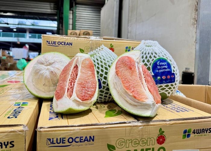Khắc phục tồn tại để nối lại xuất khẩu bưởi sang Australia. Nguồn: Thương vụ Việt Nam tại Australia