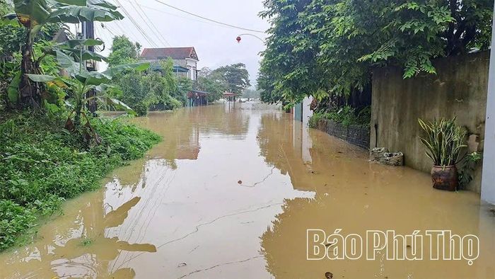 Lũ trên sông Bôi lên cao đã gây ngập lụt khu dân cư ven sông. Ảnh: Báo Phú Thọ.