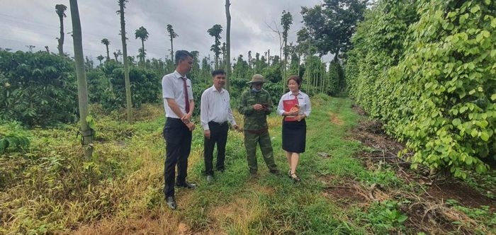 Agribank chi nhánh Đắk Lắk phục vụ hơn 39.363 khách hàng đang vay vốn phục vụ sản xuất nông nghiệp, nông thôn (Ảnh: C. Thái)