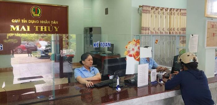 Trên địa bàn NHNN Chi nhánh Khu vực 8 quản lý hiện có 126 QTDND tại ba tỉnh Nghệ An, Hà Tĩnh và Quảng Trị, đứng thứ ba cả nước về số lượng QTDND.