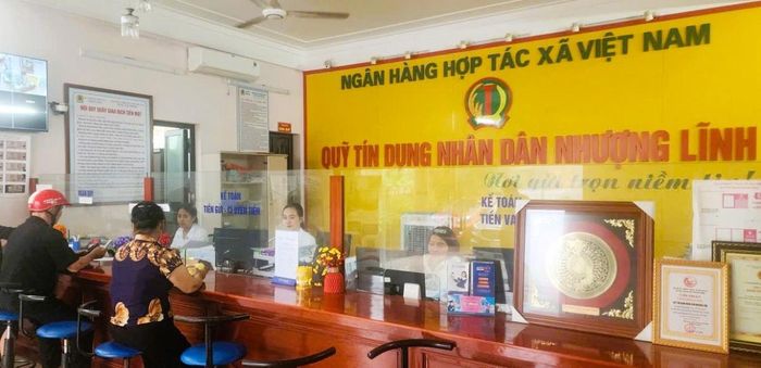 Các QTDND từng bước kiện toàn quản trị, điều hành và nâng chất lượng hoạt động của mình.