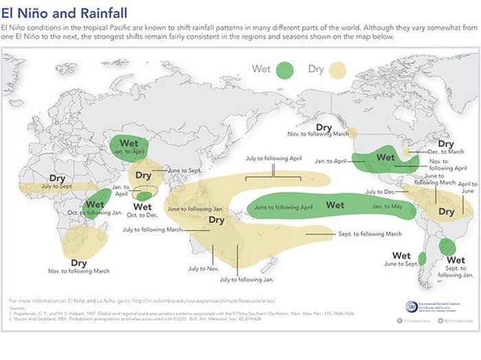 Ảnh hưởng của hiện tượng El Nino lan rộng khắp toàn cầu, không chỉ giới hạn ở Thái Bình Dương. Đồ họa: IRI