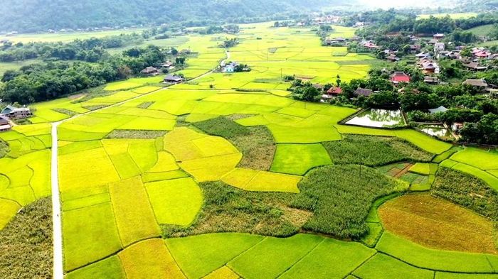 Lâm Thượng đẹp như một bức tranh thủy mặc. Ảnh: Trọng Bảo