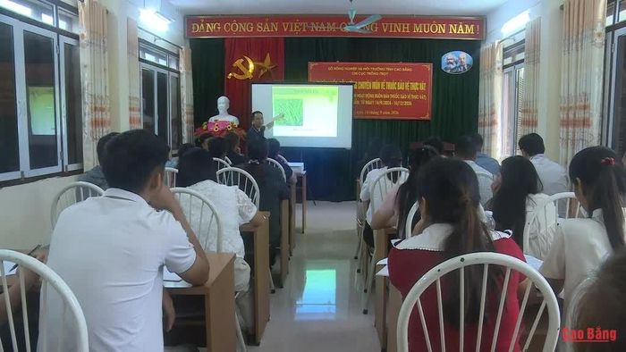 Các học viên tham gia lớp tập huấn.