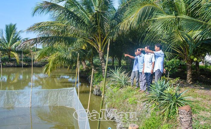 Những mô hình sản xuất hiệu quả trở thành nơi để nông dân đến tham quan, học hỏi, trao đổi kinh nghiệm.