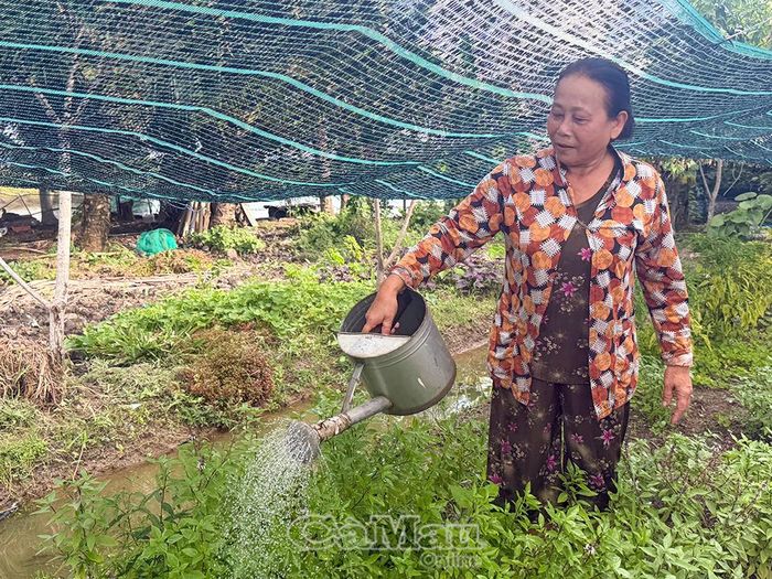  Các hộ dân tại ấp Bến Bào (Xã Quách Phẩm) tích cực trồng, chăm sóc các loại rau màu vừa phục vụ bữa ăn gia đình, vừa tạo thêm nguồn thu nhập.
