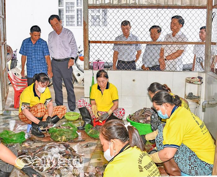 Chủ tịch UBND tỉnh Lữ Quang Ngời khảo sát hoạt động sản xuất chả cá phi tại ấp Tân Bửu.