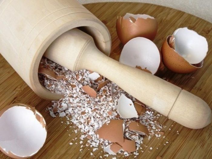 Tuy nhiên, nếu biết cách xử lý đúng, bạn có thể biến thứ thường bị vứt bỏ thành vật hữu ích trong nhà - Ảnh minh hoạ