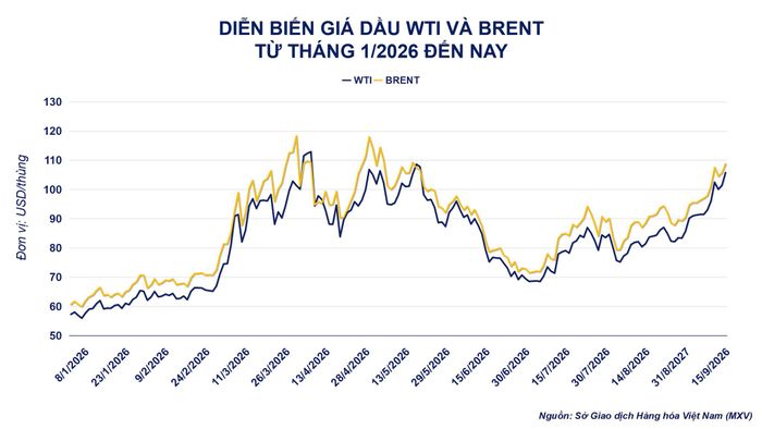 Diễn biến giá dầu thô. Nguồn: MXV