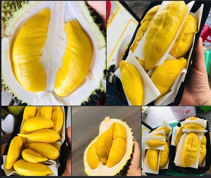 Sầu Musang King có giá bán tương đối cao trên thị trường do nguồn cung có hạn và chất lượng đặc biệt của quả.