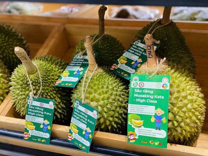 Du có giá bán cao nhưng sầu Musang King vẫn chiếm được cảm tình của người tiêu dùng.