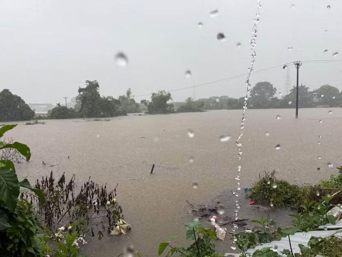 Nước sông Đáy trên địa bàn Hà Nội dâng cao