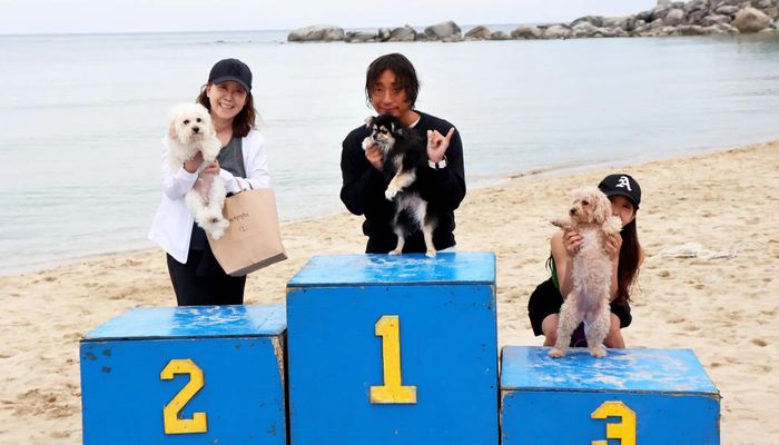 Titi, chú Pomeranian 7 tuổi, giành chiến thắng trong cuộc thi năm nay. Ảnh: Korea Joongang Daily. 