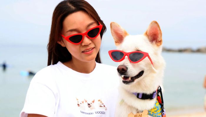  Bên cạnh phần thi chính dành cho chó và chủ, lễ hội còn có hoạt động tìm kho báu trên bãi biển, cuộc thi tài năng và các buổi tư vấn với chuyên gia về huấn luyện chó. Ảnh: Korea Joongang Daily. 