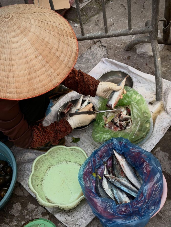 Những người phụ nữ bán hàng rong thu hút Vanessa. 