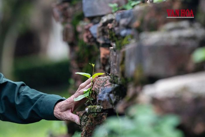 Đôi bàn tay của người lính già đã từng làm tất cả để bảo vệ thành cổ, bảo vệ mầm xanh của sự sống và hoà bình