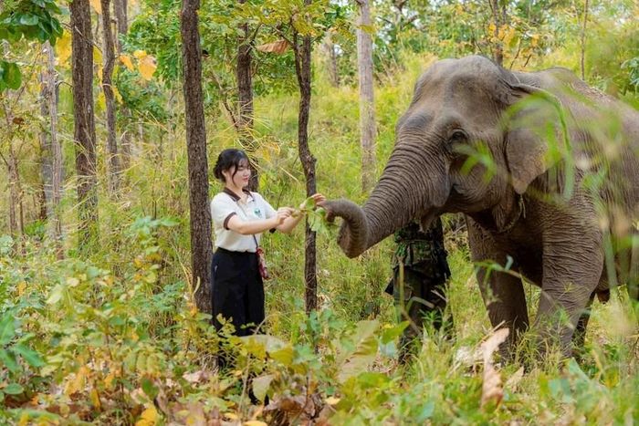 H'Diên bên cạnh chú voi ở Buôn Đôn