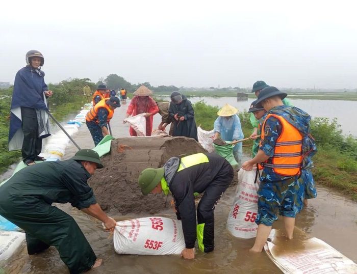 Đóng đất thành các bao và vận chuyển đắp gia cố đê
