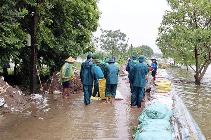 Các lực lượng chức năng và người dân xã Xuân Mai khẩn trương đắp đê ngăn nước sông tràn vào. Ảnh: Nguyễn Cúc - TTXVN