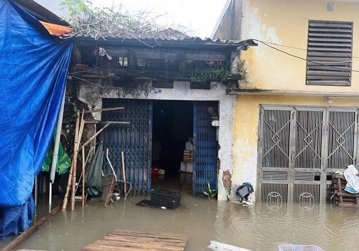 Khu vực ven sông Đáy tại phường Phù Vân. Ảnh: Thanh Tuấn - TTXVN