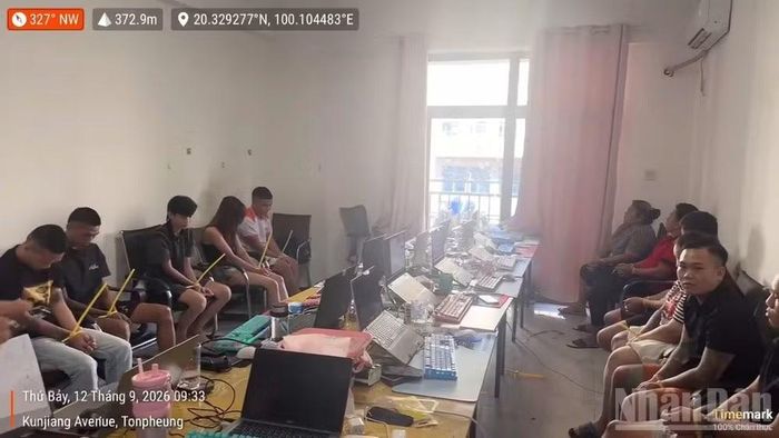 Các đối tượng bị bắt giữ. (Ảnh do Công an cung cấp)