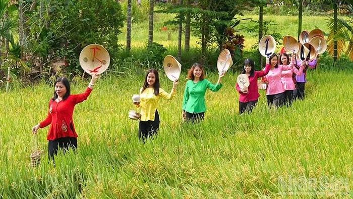 Làng Lộc Yên là một điển hình về văn hóa làng của vùng quê xứ Quảng. (Ảnh: TB)