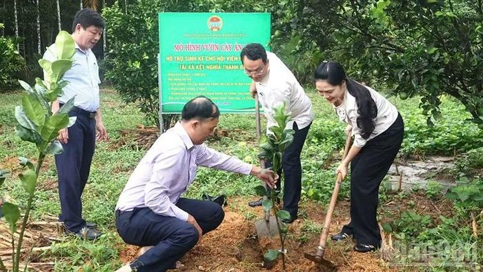 Mô hình vườn cây ăn quả hỗ trợ sinh kế cho hội viên nông dân ở Thạnh Bình. (Ảnh: TB)