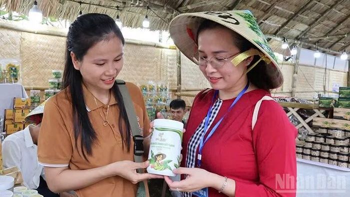 Người dân và du khách trải nghiệm tại Hội làng Lộc Yên-Thạnh Bình lần thứ V năm 2026. (Ảnh: MD)