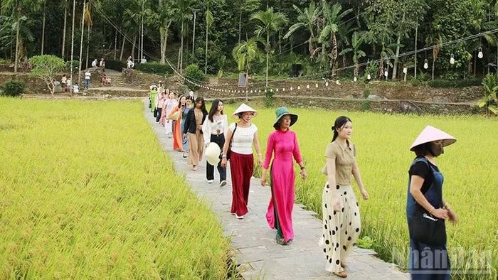 Thạnh Bình đang trở thành điểm đến du lịch ưa thích của du khách trong nước. (Ảnh: AQ)
