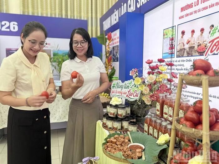 Sản phẩm Dự án Mường Lò Tomato. (Ảnh:THANH SƠN)