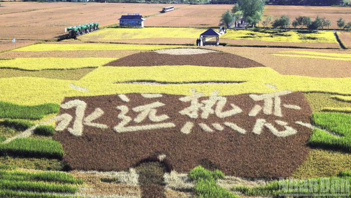 Bức tranh với nội dung là những câu châm ngôn về tình yêu và cuộc sống của giới trẻ.