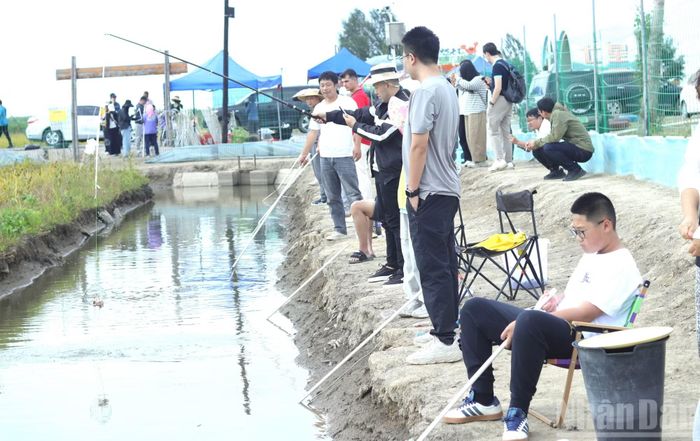 Du khách trải nghiệm câu cua lông nuôi trong ruộng lúa.