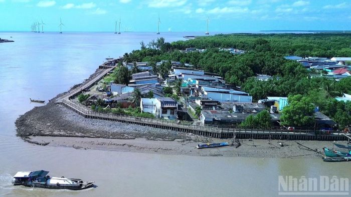 Khu vực vùng ven biển xã Tân Thuận, tỉnh Cà Mau. (Ảnh: HỮU TÙNG)