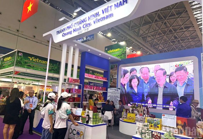 Khu vực trưng bày của thành phố Quảng Ninh.