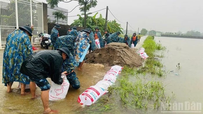 Cán bộ, chiến sĩ xúc cát, đóng bao để gia cố tuyến đê.