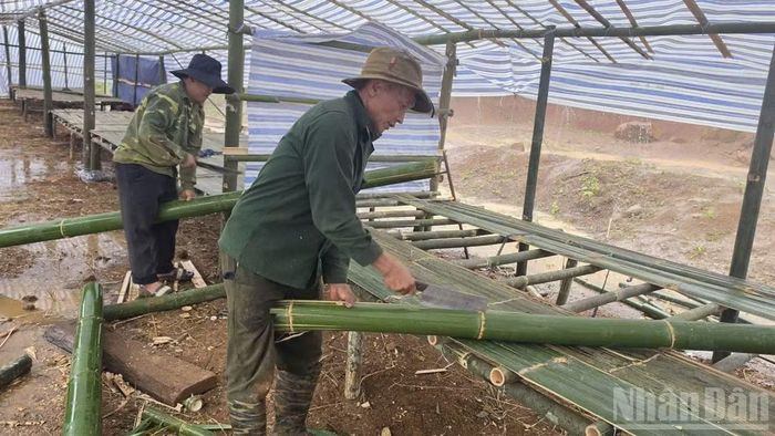 Các công việc được thực hiện khẩn trương để bà con có nơi tạm trú an toàn.