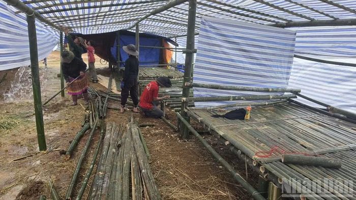 Trong khoảng 3 ngày, người dân và lực lượng chức năng đã dựng được hàng chục lán trại làm nơi tạm trú.