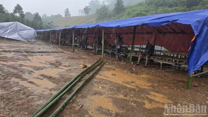 Hiện tại, khu vực thôn Đắk Snao vẫn có mưa lớn kéo dài khiến việc dựng lán trại gặp khó khăn.