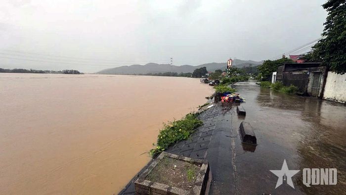 Nước sông Mã dâng cao đoạn qua xã Hoằng Giang, tỉnh Thanh Hóa.