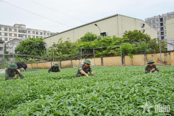 Cán bộ, nhân viên, chiến sĩ Đội xe 2 thi đua tăng gia sản xuất.