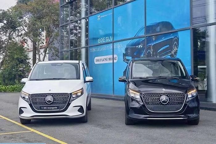 Mercedes-Benz V-Class được định vị ở phân khúc MPV cao cấp, cạnh tranh với các mẫu xe hướng đến nhu cầu chở nhiều người, phục vụ gia đình, doanh nghiệp.