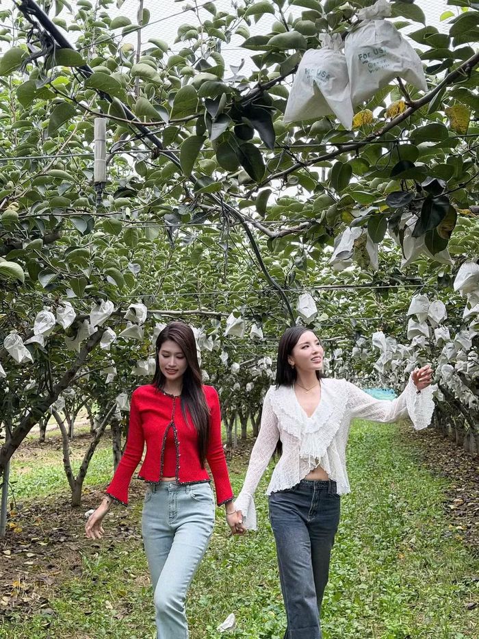 Điểm thú vị nằm ở cách Kỳ Duyên và Thiên Ân phối đồ khác nhau nhưng vẫn có sự liên kết. Khi một người chọn trang phục nổi bật, người còn lại thường tiết chế hơn về màu sắc hoặc kiểu dáng, tạo nên tổng thể cân bằng và không bị trùng lặp. Ảnh: FB Nguyen Cao Ky Duyen