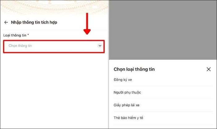 Bạn nhấn chọn để xem và lựa chọn loại giấy tờ muốn tích hợp.