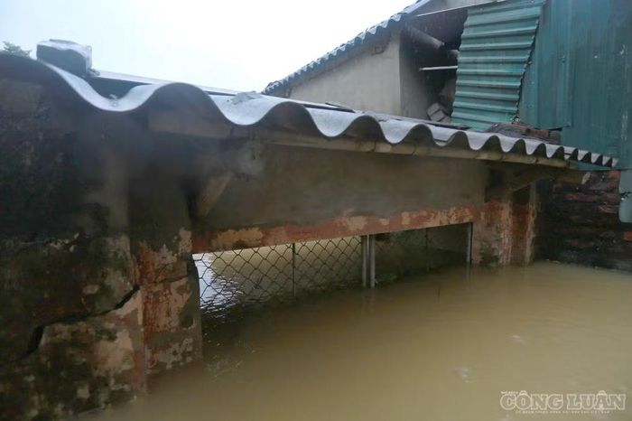 Có nơi nước dâng đến gần mái nhà.