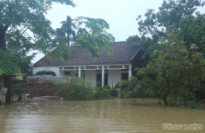 Nhiều ngôi nhà đã chìm trong "biển nước".