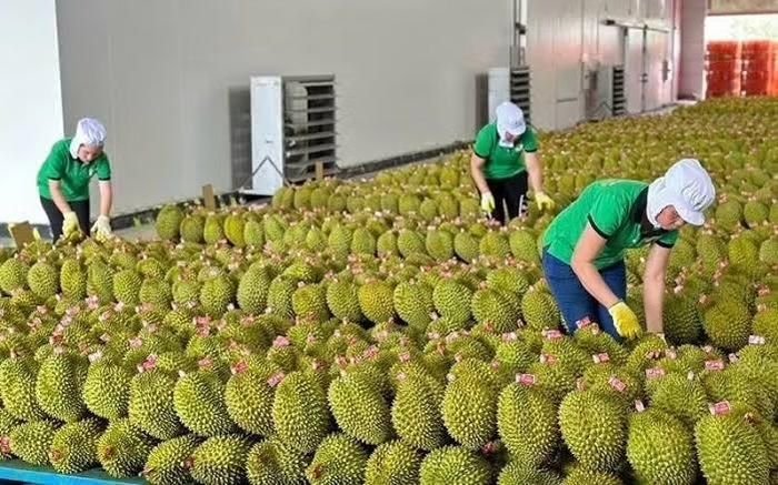 Trung Quốc đang tăng cường kiểm soát mã đăng ký, mã số, và truy xuất nguồn gốc.