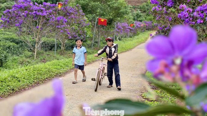 Hiện đồi chè Đông Trường Sơn mở cửa miễn phí cho du khách tham quan, chụp ảnh. Những triền chè xanh mướt điểm sắc tím hoa mua trở thành điểm dừng chân, thu hút nhiều du khách đến trải nghiệm và lưu lại những khoảnh khắc đẹp.