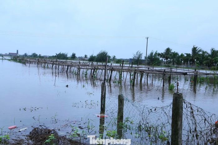 Trước diễn biến phức tạp của thời tiết, UBND tỉnh Ninh Bình đã yêu cầu các sở, ban, ngành và UBND các xã, phường triển khai lực lượng xung kích kiểm tra, rà soát, chủ động tổ chức di dời, sơ tán người dân khu vực ven sông, suối, khu vực trũng thấp, có nguy cơ xảy ra ngập lụt sâu, sạt lở đất đến nơi an toàn.