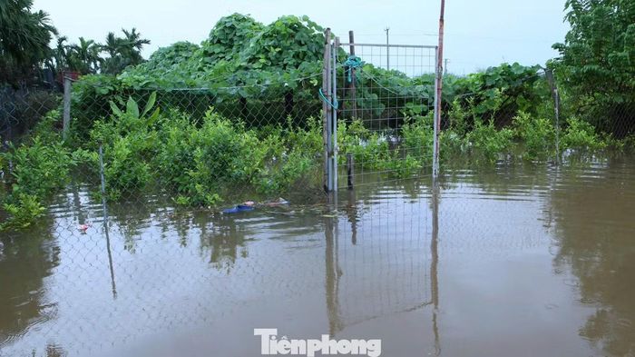 Chính quyền địa phương cũng yêu cầu khơi thông dòng chảy; sẵn sàng lực lượng tại chỗ để kịp thời hỗ trợ người dân khắc phục hậu quả, bố trí lực lượng thường trực để vận hành điều tiết các hồ chứa và sẵn sàng xử lý các tình huống có thể xảy ra. Kiểm tra, rà soát và triển khai trên thực tế phương án hộ đê, bảo vệ trọng điểm đê điều xung yếu, kịp thời phát hiện và xử lý các sự cố, tình huống có thể xảy ra ngay từ giờ đầu.
